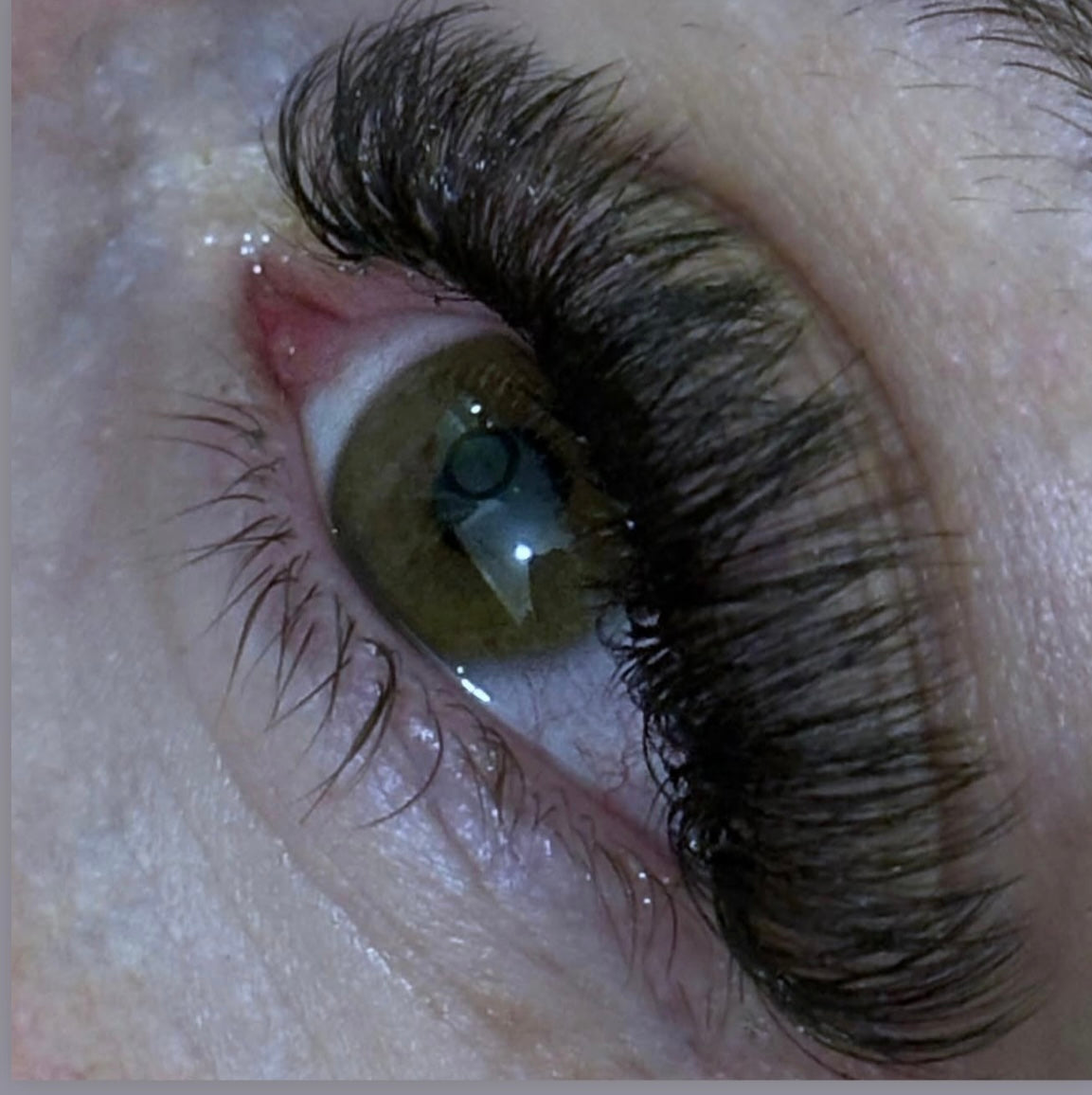 Bouquets préfaits 6D Mix pour extension de cils